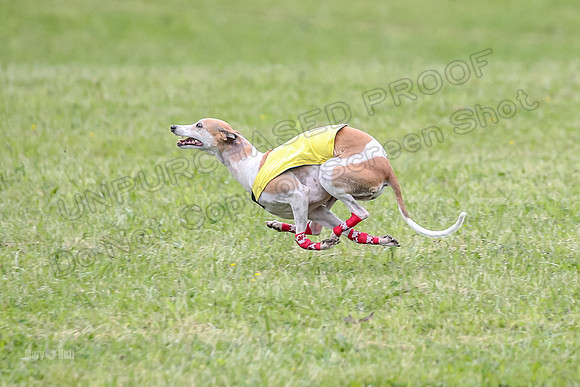 Prelim Veterans 2, Brag Nellie Herk-0108