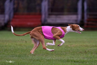 MCH76652   Thea, Izzy