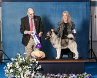 Elkhound 2020-1106