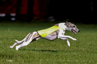 MCH76921  Ramses, Raya, Dega