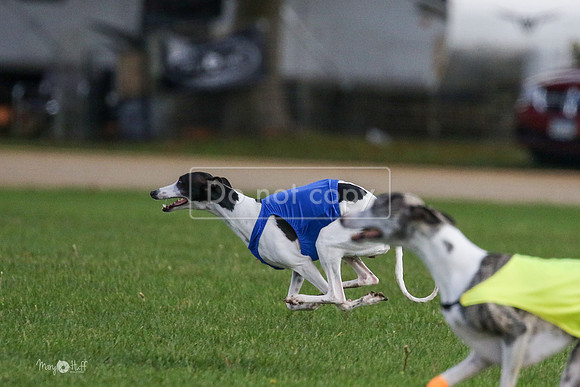 MCH76937  Ripples, Katie, Cookie