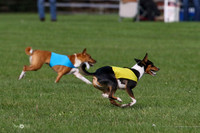 MCH75398  Pepper, Nala, Ruby