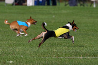 MCH75399  Pepper, Nala, Ruby
