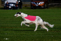 MCH75470  Dash, Piper