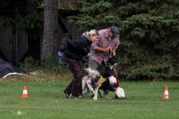 MCH75655  Dodger, Komo