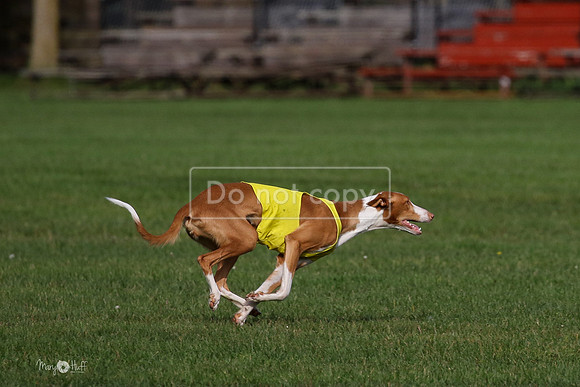 MCH75594  Izzy, Seren