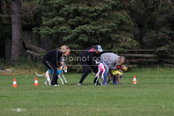 MCH75961 Katie, Cookie, Dasher