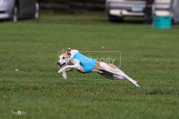 MCH75963 Katie, Cookie, Dasher