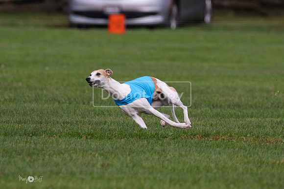 MCH75964 Katie, Cookie, Dasher