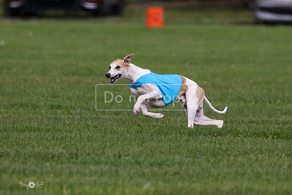 MCH75965 Katie, Cookie, Dasher