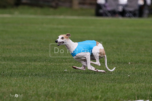 MCH75967 Katie, Cookie, Dasher