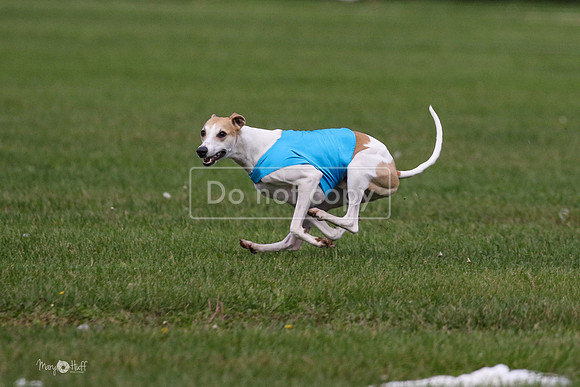 MCH75969 Katie, Cookie, Dasher
