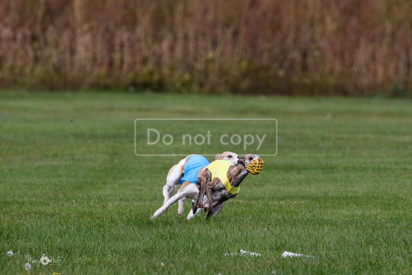 MCH75982 Katie, Cookie, Dasher