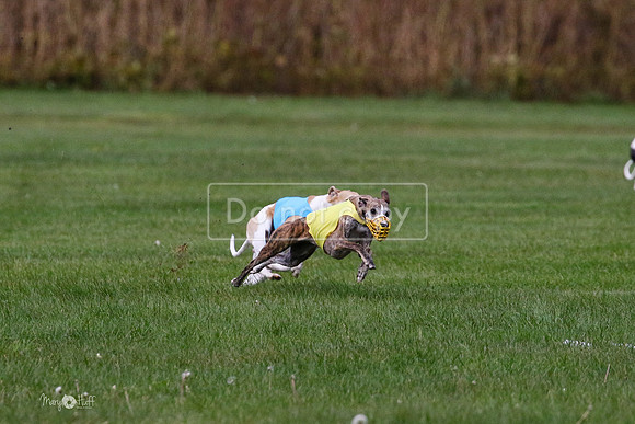 MCH75983 Katie, Cookie, Dasher
