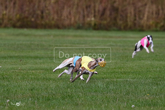 MCH75984 Katie, Cookie, Dasher