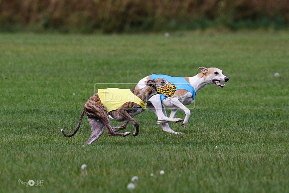 MCH75988 Katie, Cookie, Dasher