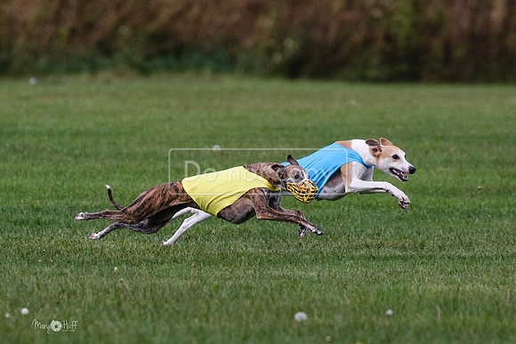 MCH75989 Katie, Cookie, Dasher