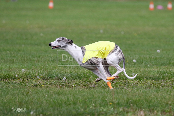 MCH76019  Ripples, Reo, Dega