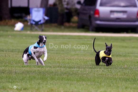 MCH76047  Ruthless, June, Finn
