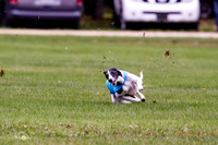 MCH76052  Ruthless, June, Finn