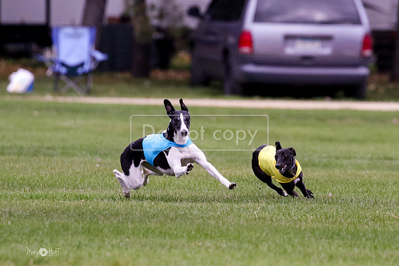 MCH76048  Ruthless, June, Finn