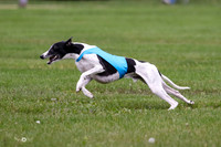 MCH76054  Ruthless, June, Finn