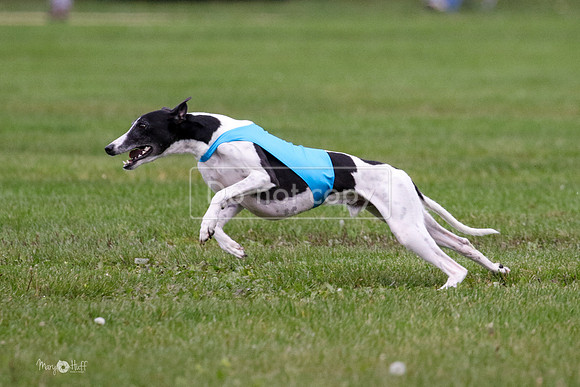 MCH76054  Ruthless, June, Finn