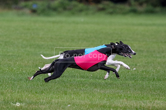 MCH76079  Ruthless, June, Finn