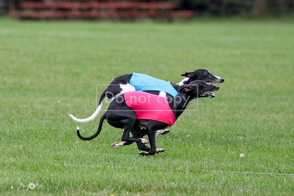 MCH76081  Ruthless, June, Finn