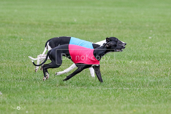 MCH76082  Ruthless, June, Finn