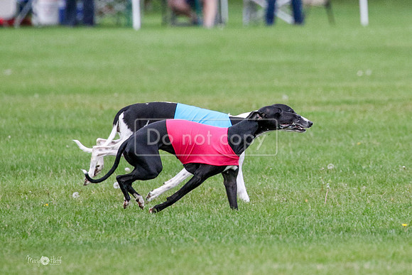 MCH76085  Ruthless, June, Finn