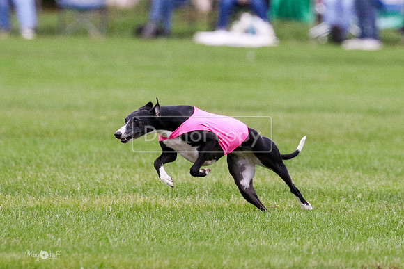 MCH76158  Harlee, April
