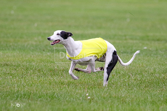 MCH76164  Harlee, April