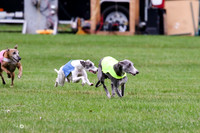 MCH76361  Conall, Stryker, Charlee