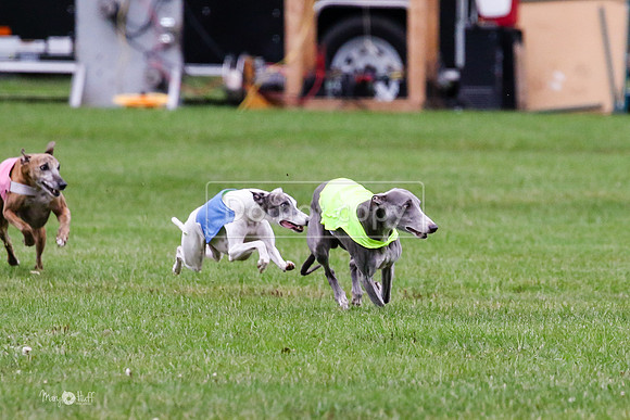 MCH76361  Conall, Stryker, Charlee
