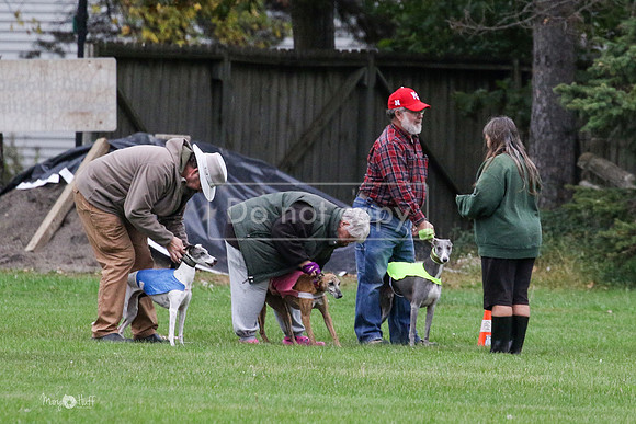 MCH76356  Conall, Stryker, Charlee