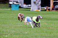 MCH76359  Conall, Stryker, Charlee
