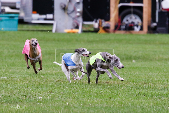MCH76360  Conall, Stryker, Charlee