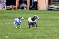 MCH76362  Conall, Stryker, Charlee