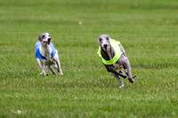 MCH76364  Conall, Stryker, Charlee