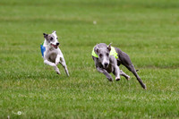 MCH76365  Conall, Stryker, Charlee