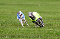 MCH76366  Conall, Stryker, Charlee