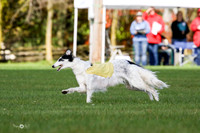MCH77245   Dash, Piper