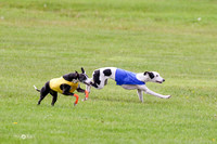 MCH77489  Winnie, Nelson, Harlee