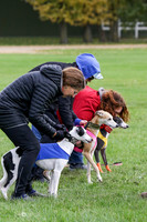 MCH77481  Winnie, Nelson, Harlee