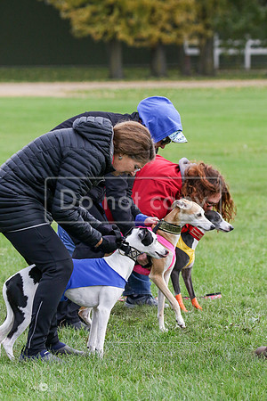 MCH77481  Winnie, Nelson, Harlee