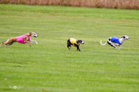MCH77490  Winnie, Nelson, Harlee