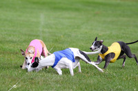 MCH77515  Winnie, Nelson, Harlee