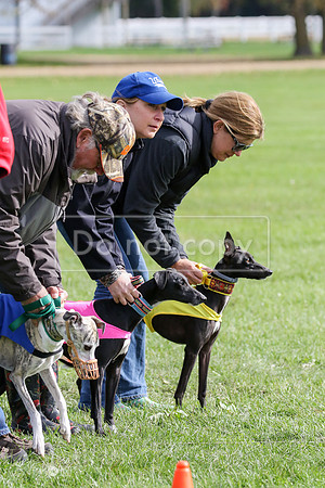 MCH77525  Ruthless, June, Hank