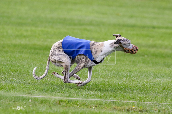 MCH77530  Ruthless, June, Hank